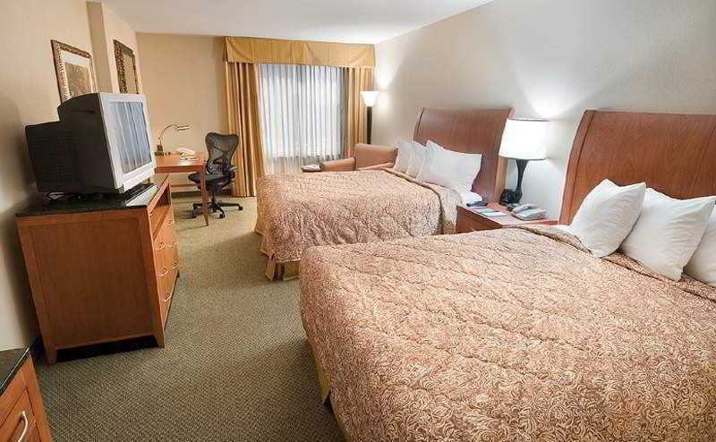 Hilton Garden Inn Houston/Galleria Area Zewnętrze zdjęcie